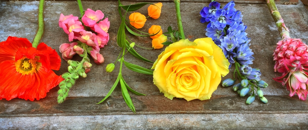 Bloemen op een rij