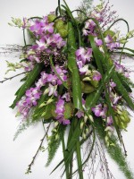 Dendrobium